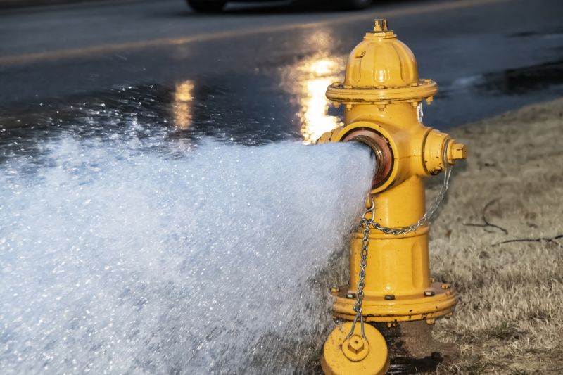 Hydrant Placement